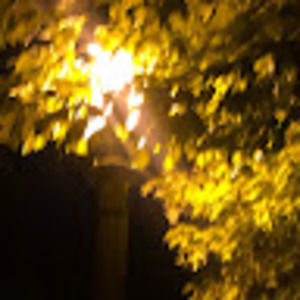 Meet your Posher, Connor